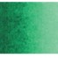 Holbein Artists' Watercolor 15ml Tube - Bamboo Green 278B