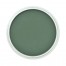 PanPastel Soft Pastel 9ml Pans - Permanent Green Extra Dark 640.1