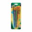 Crayola Assorted Color Paint Brush 5-pc Set