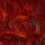 Gamblin 1980 Oil Colors - Transparent Red Oxide 37ml