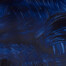 Gamblin Artist Grade Oil Colors - Indanthrone Blue 37ml