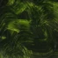 Gamblin Artist Grade Oil Colors - Sap Green 37ml