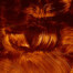 Gamblin Artist Grade Oil Colors - Transparent Earth Orange 37ml